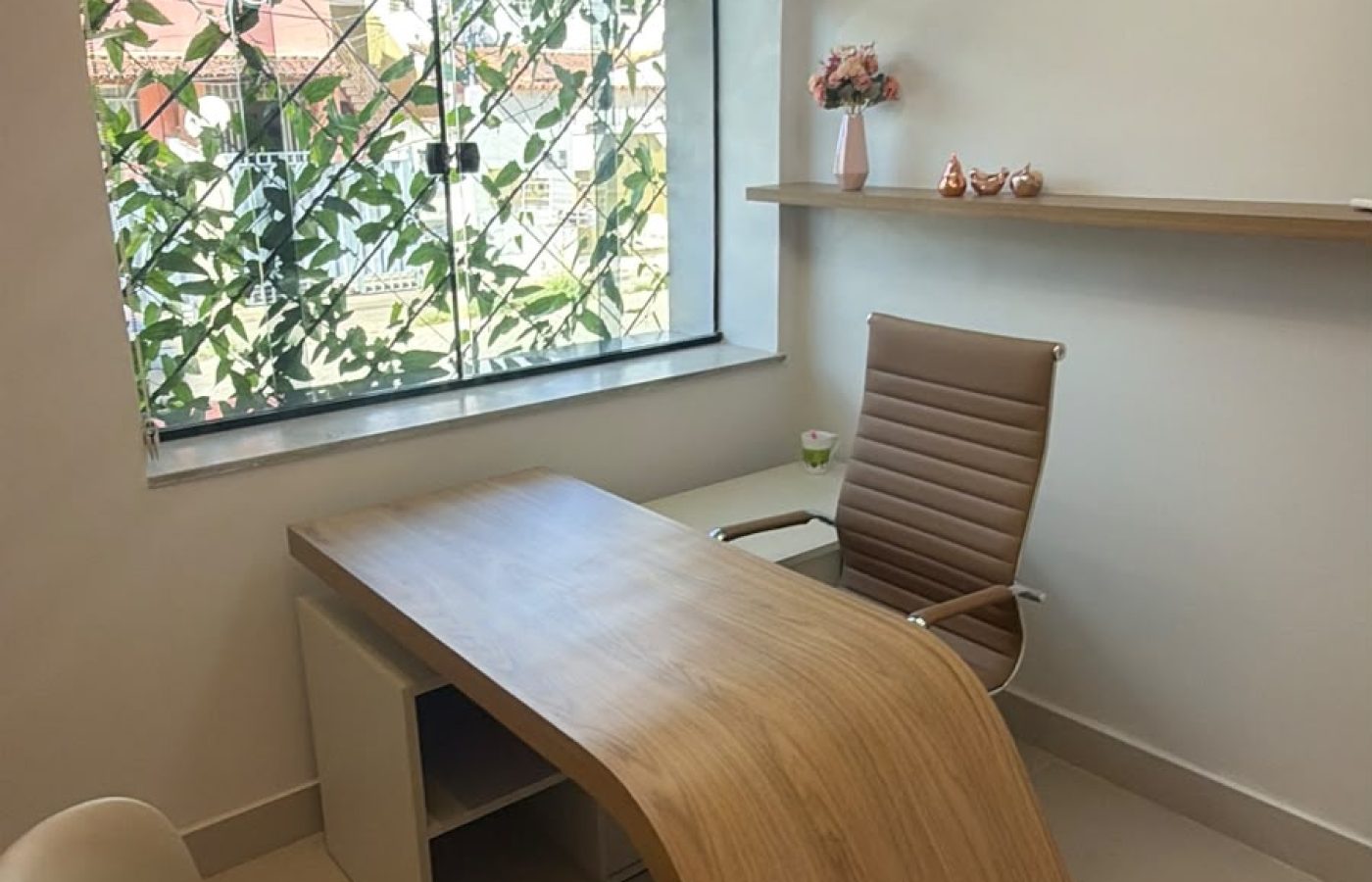 consulturoio